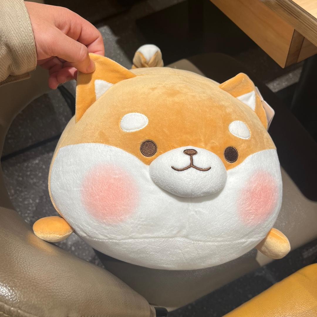 朝着太阳说晚安