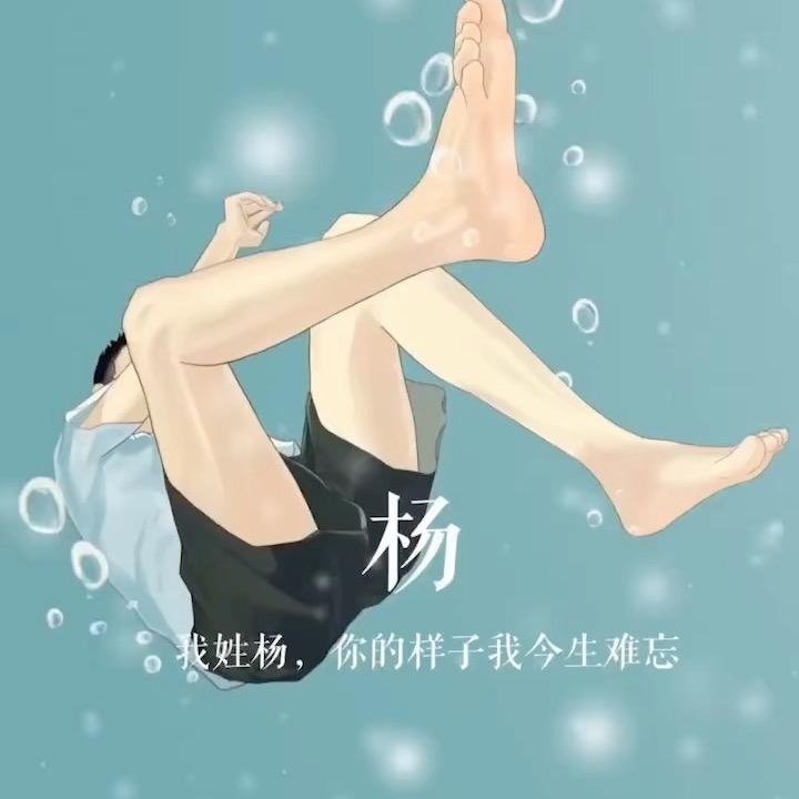 杨先生🌞