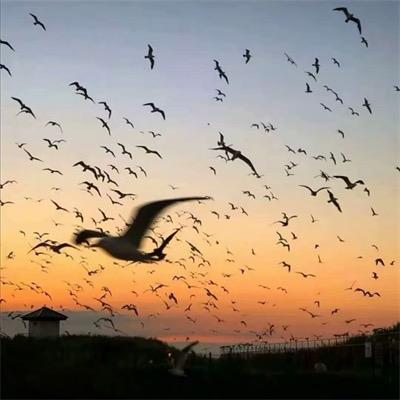 除却小雨不是雨