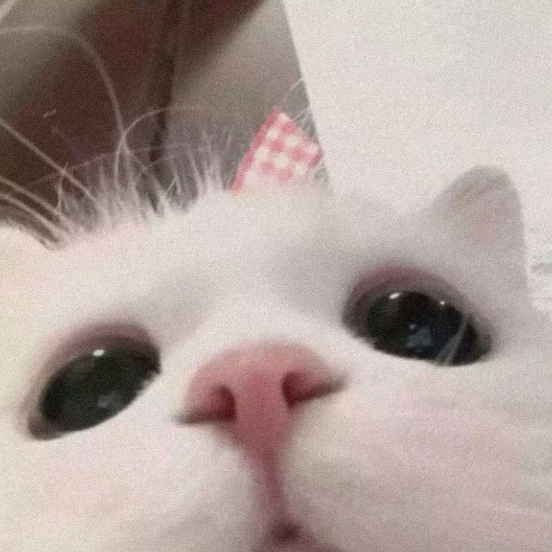 刘糖糖