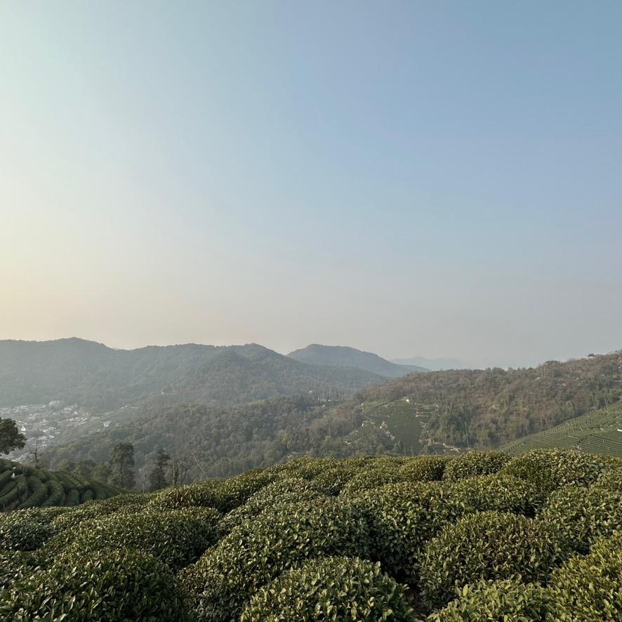 十一山堂