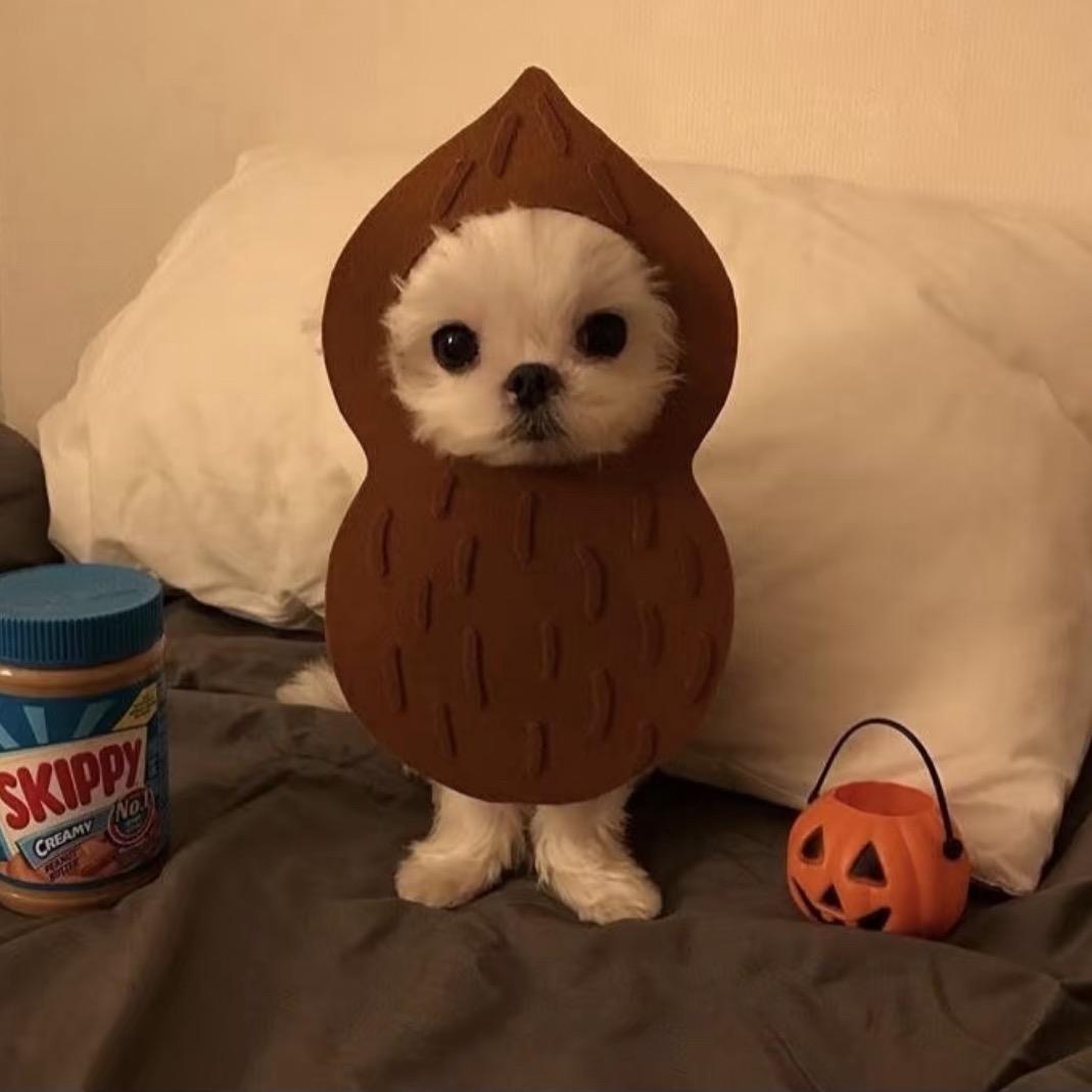 别和奇怪的我说话