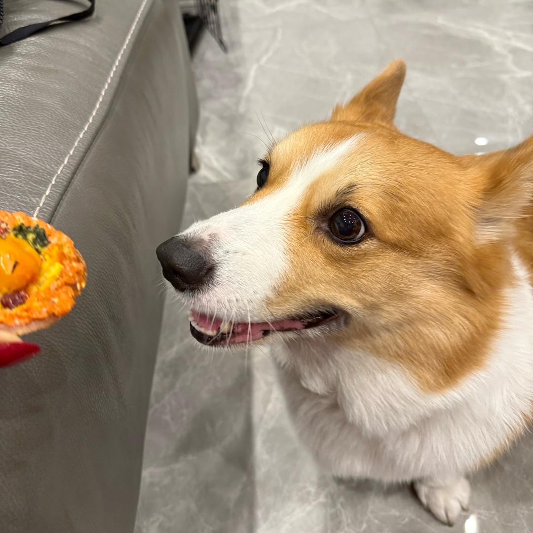 五花不是肉