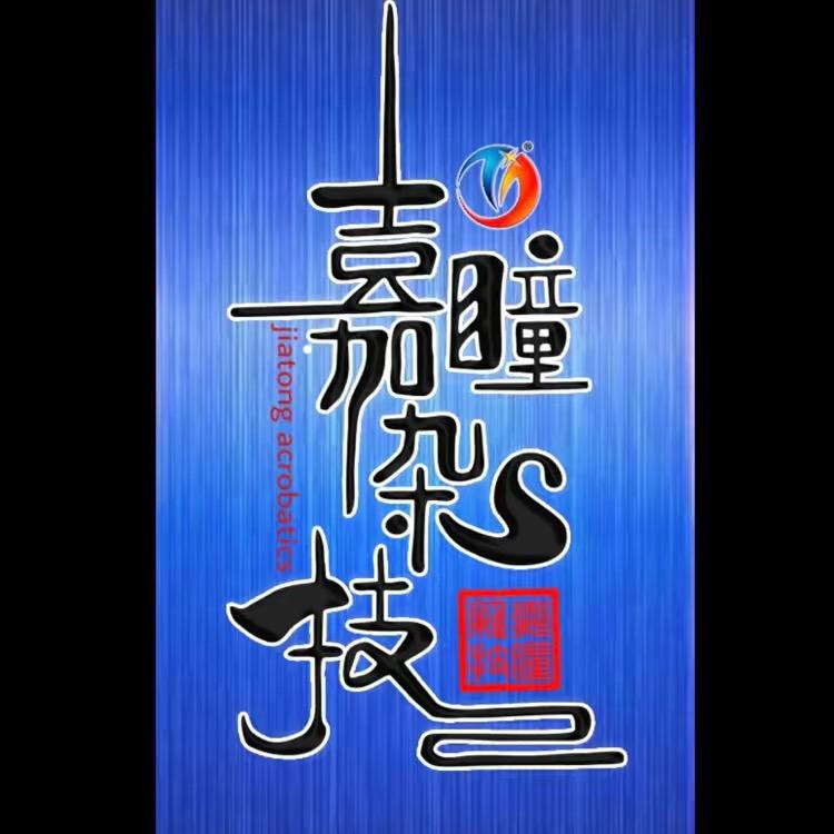 嘉瞳杂技