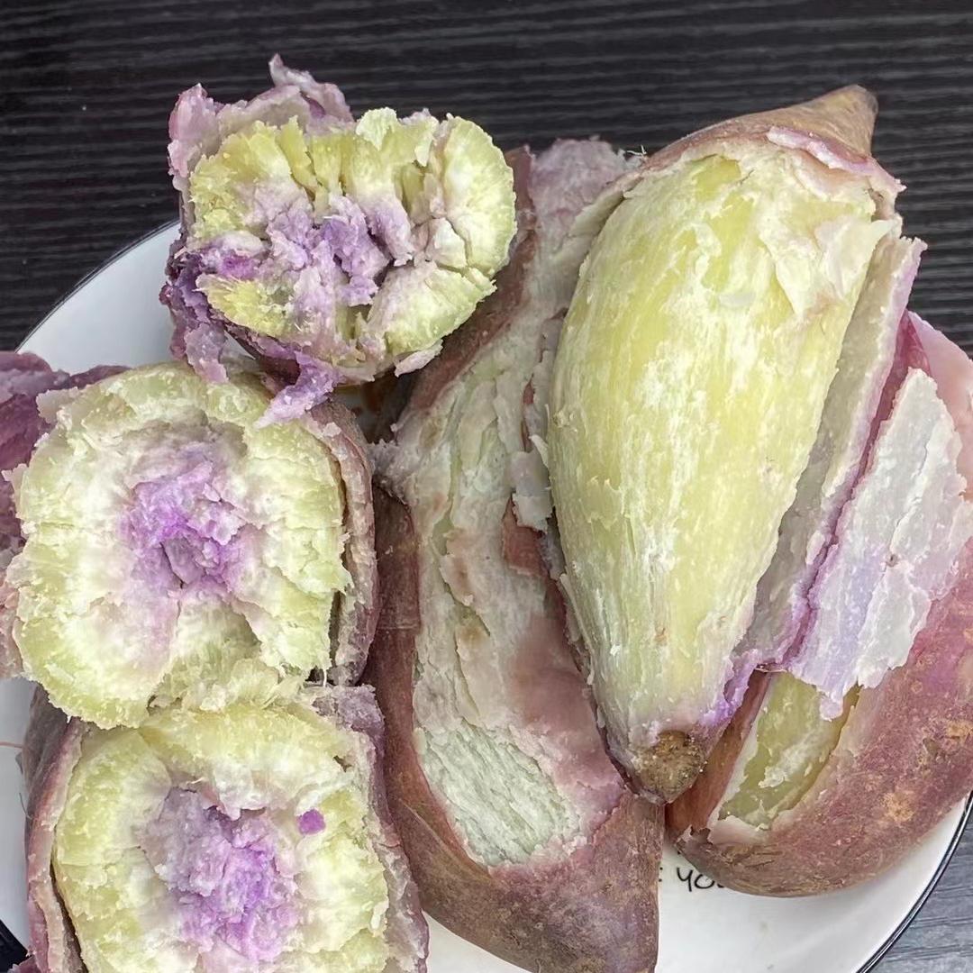 高州荔乡