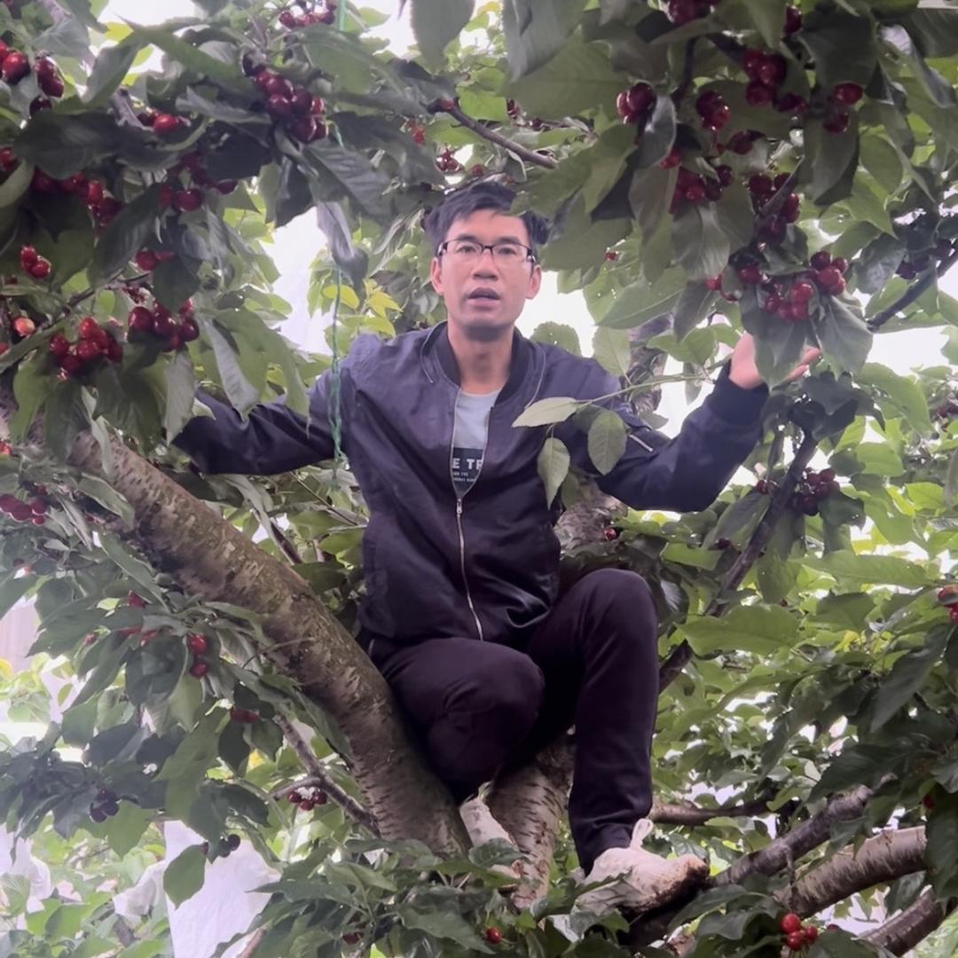 贵州黔熙车厘子种植基地