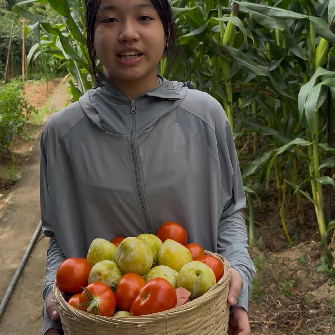 桃李人家自在九峰