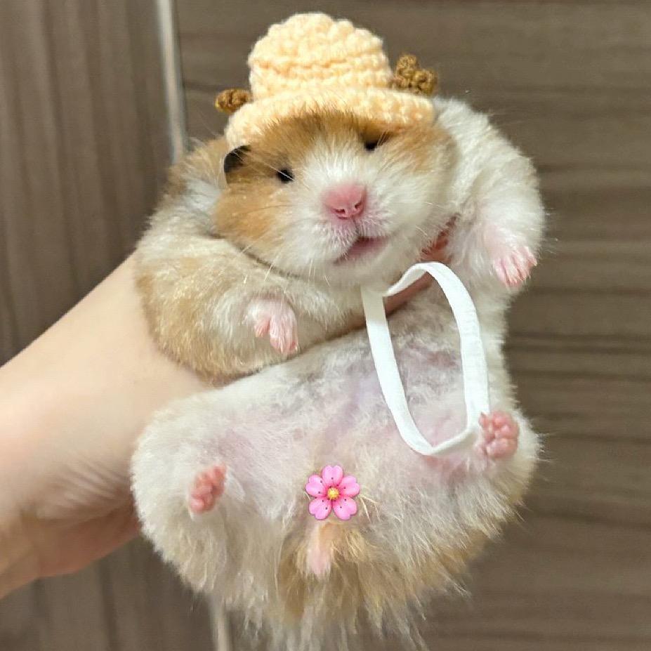 奶牛熊舍
