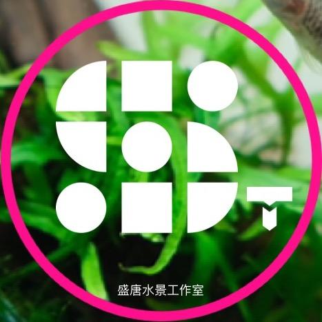 盛唐水景工作室