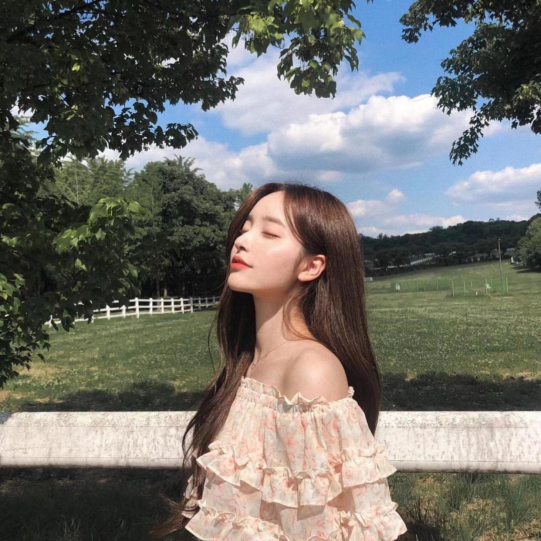 小树林里的情怀