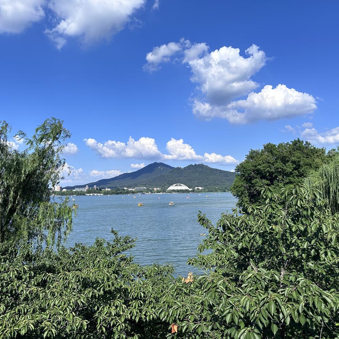 鲸选万物严选雯