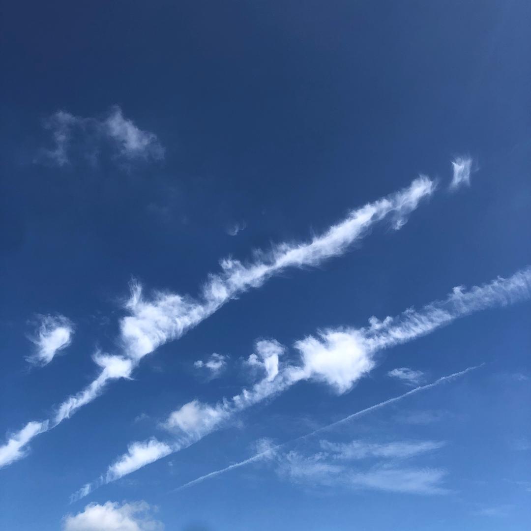 勤劳致富