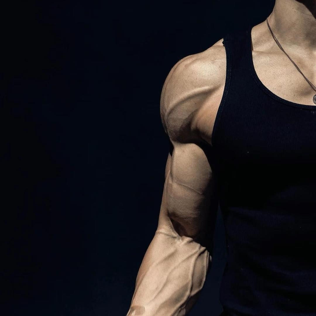 木马（健身版）