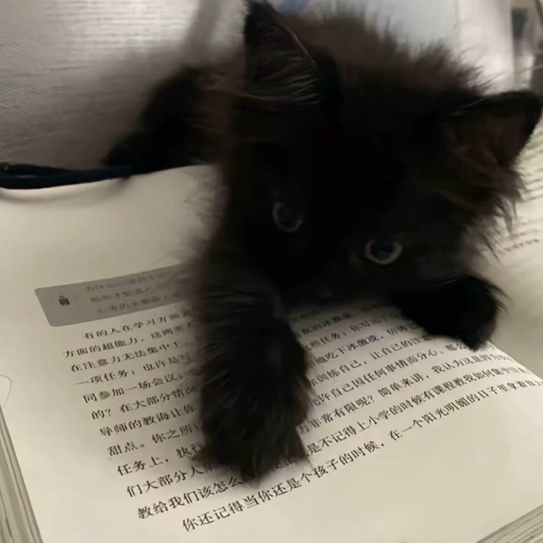 藉口