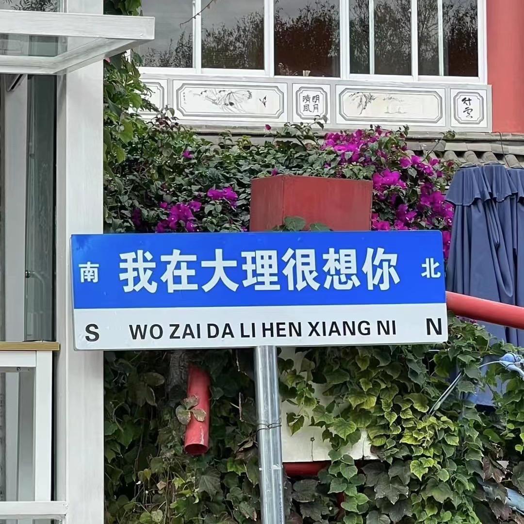 一条美人余
