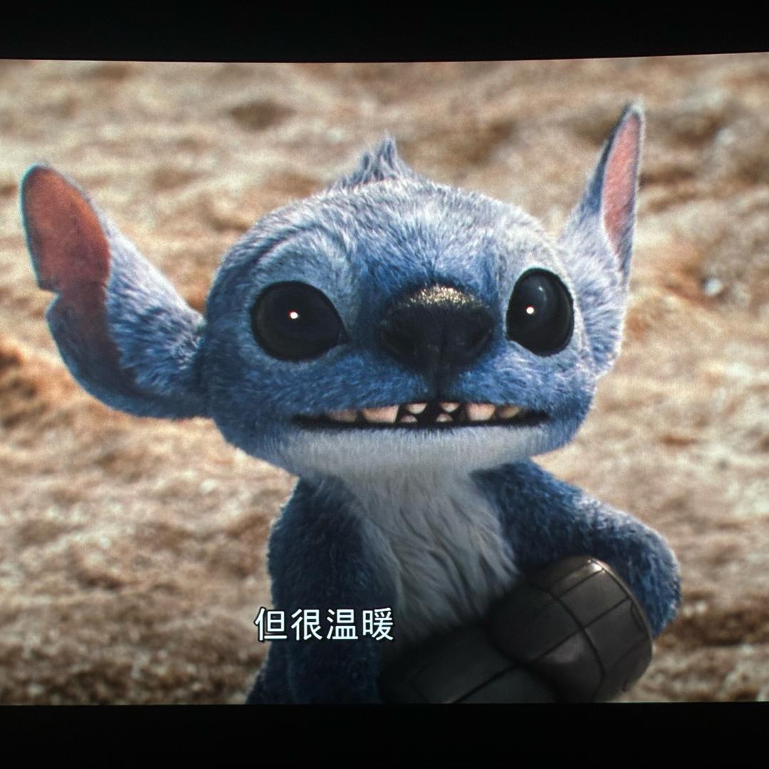 小白吃