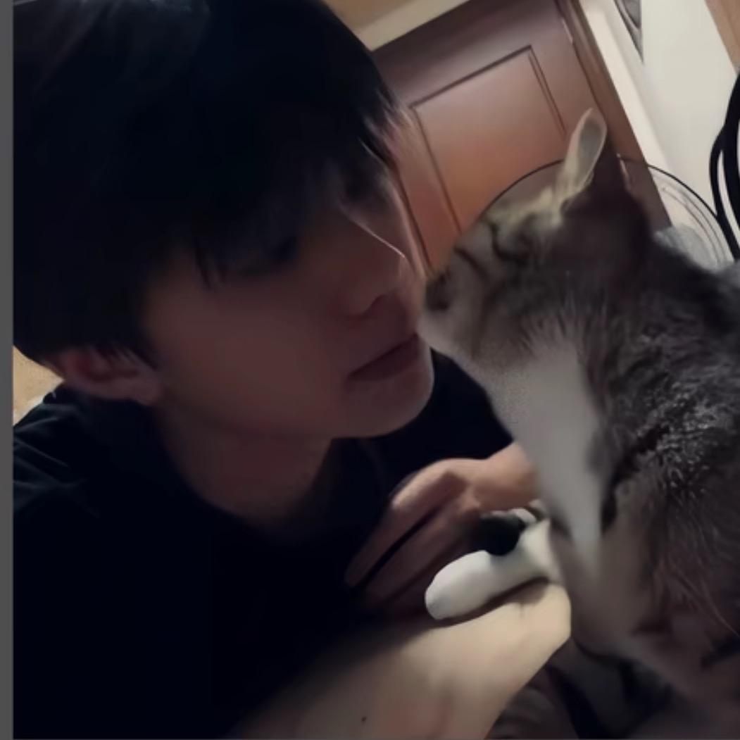 养只猫^