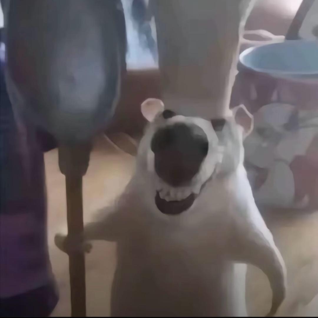 许木木