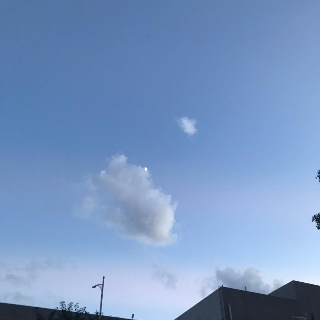 清杯鱼