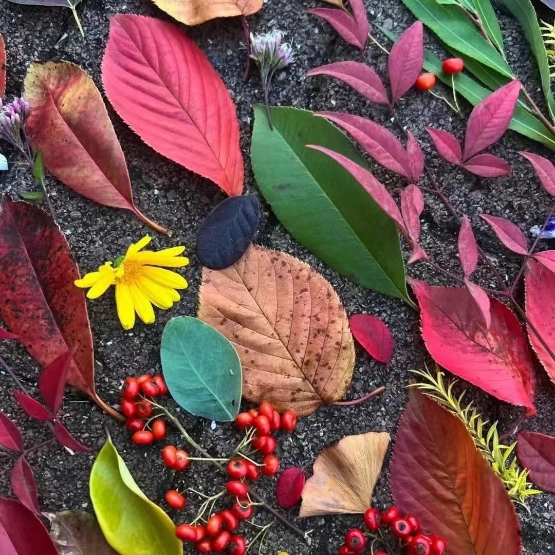 斌先森