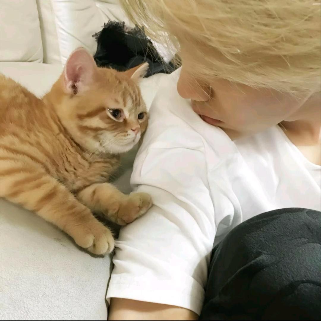 超级加蓓ᗜ - ᗜ