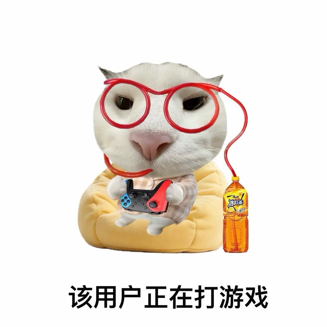 我要上岸