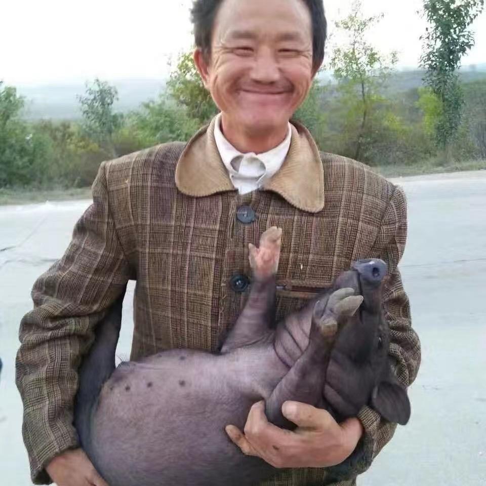 博裕猪小黑肉制品旗舰店