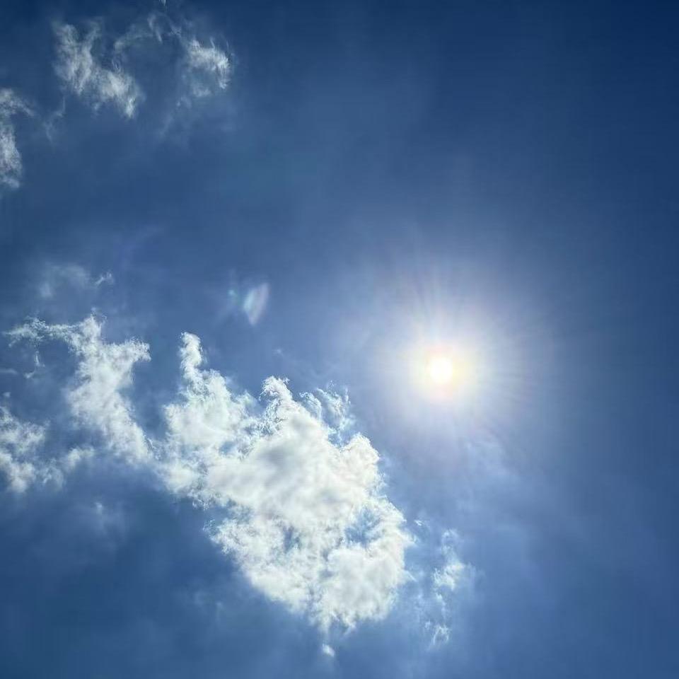 一生～半夏
