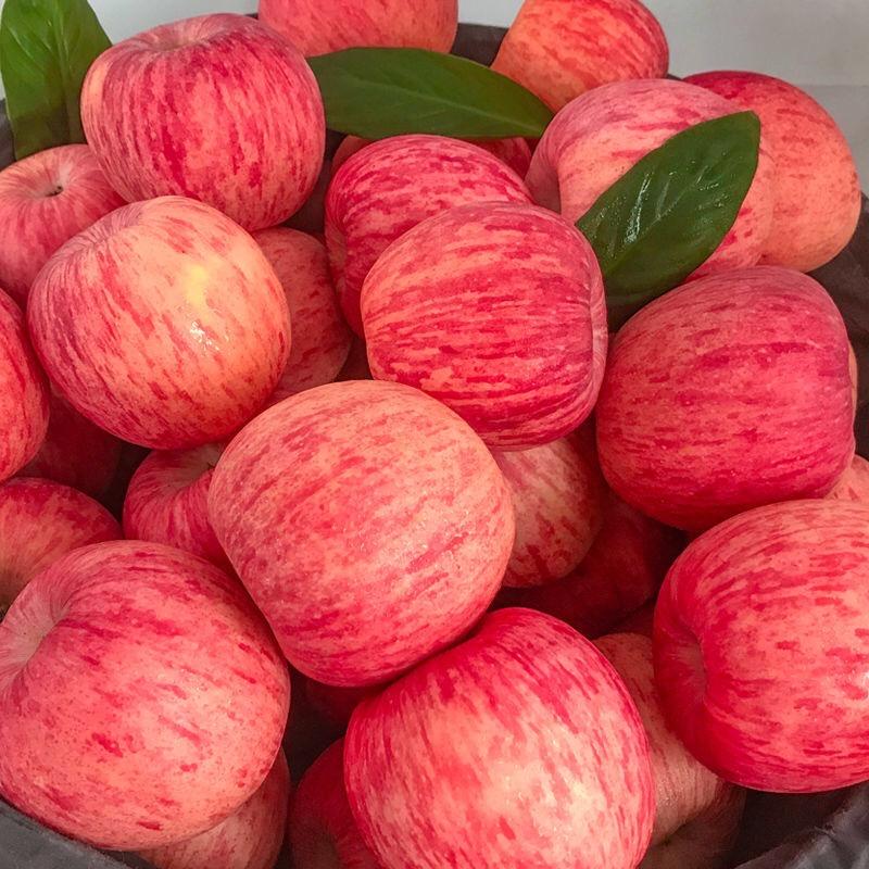 🍎智智🍎