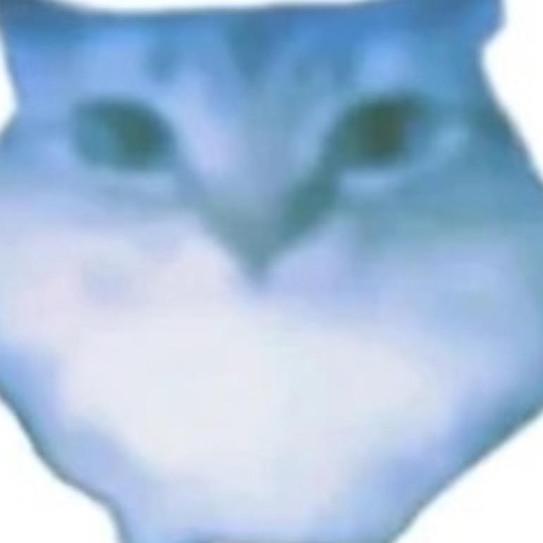 荐🌚
