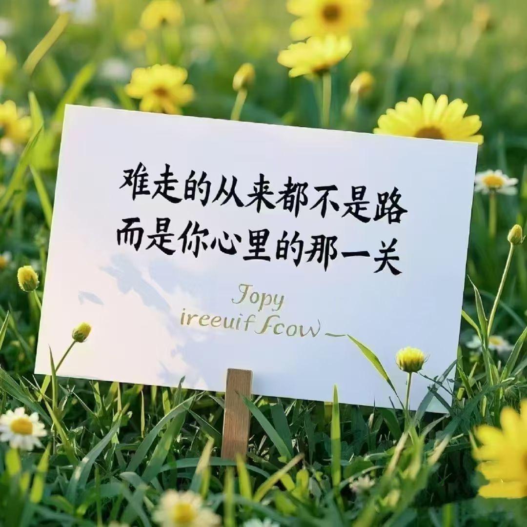 过程