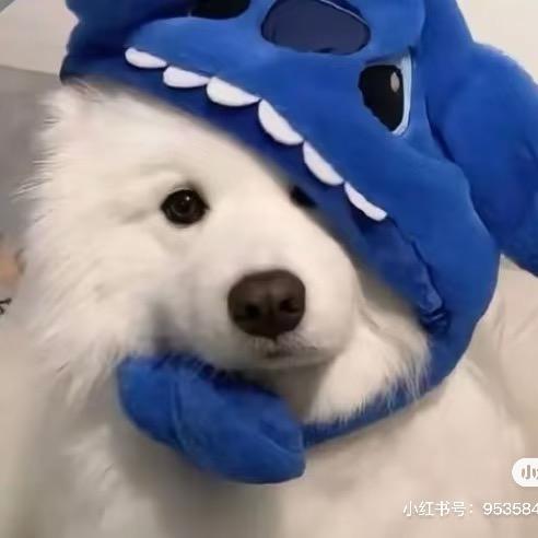 旭
