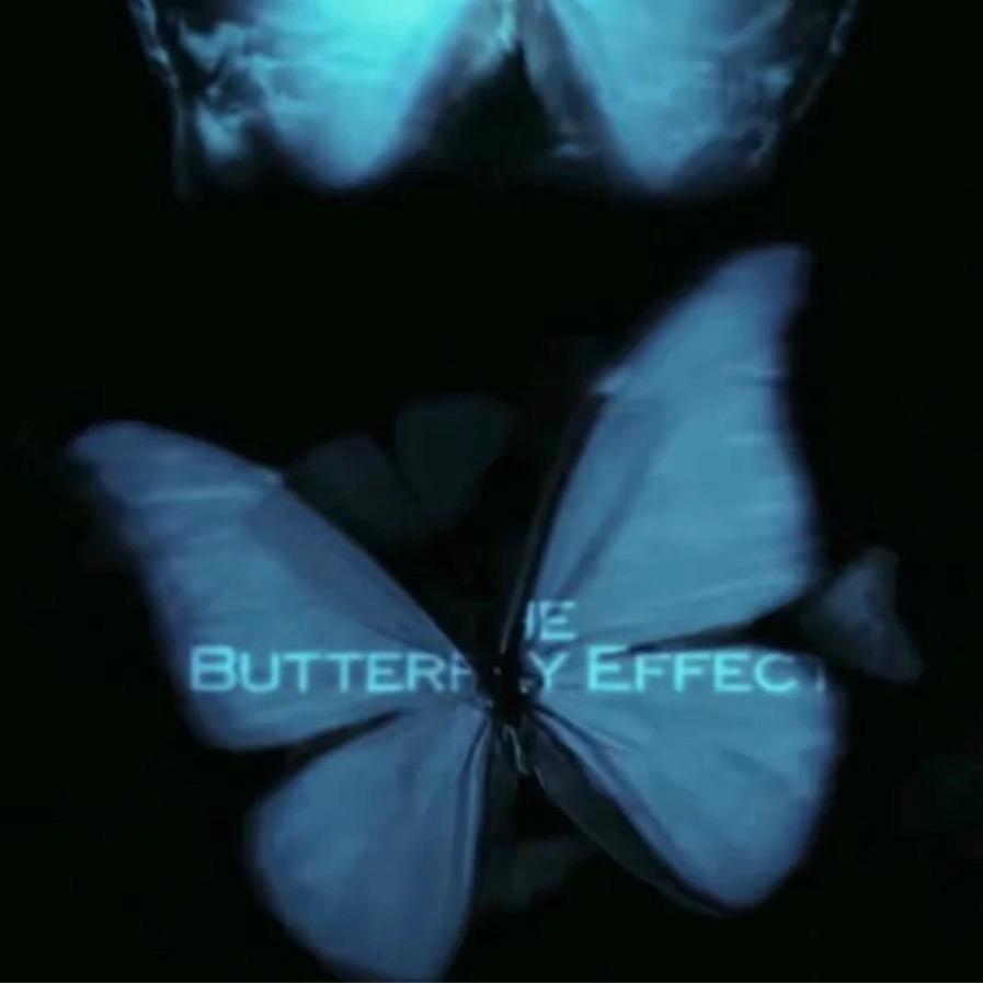 🦋🦋