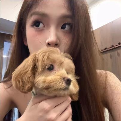 @            白菜