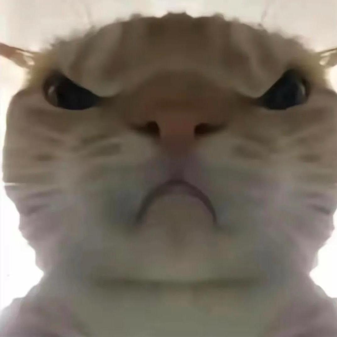 蟹蟹（三角洲行动）