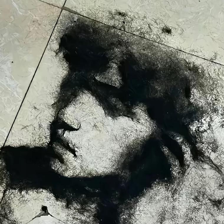 炒鸡老丁
