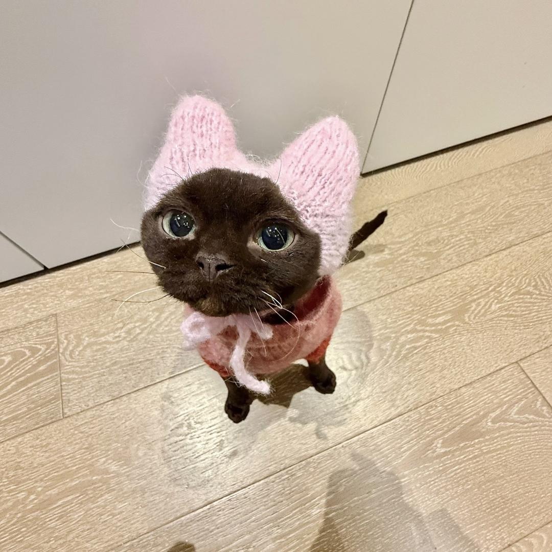 yiiii