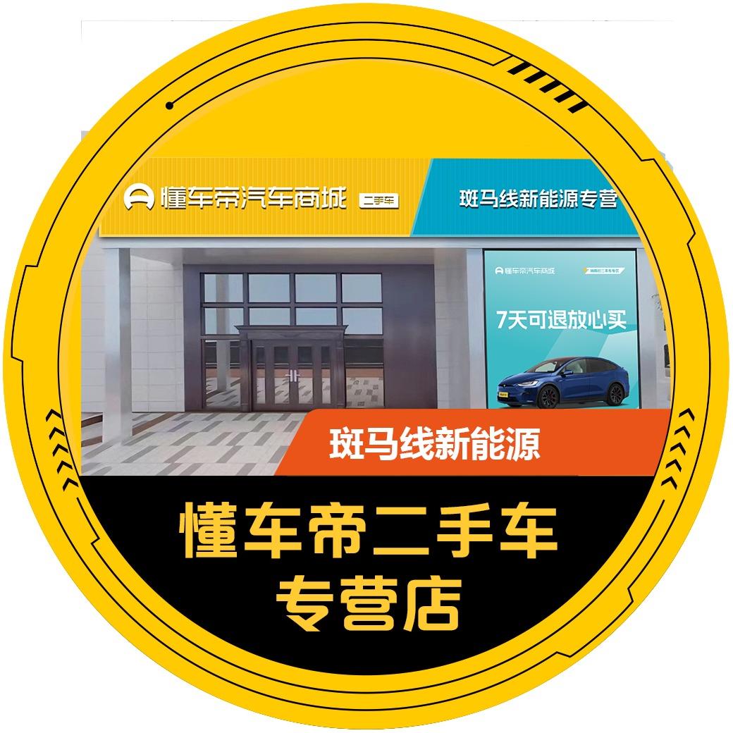 懂车帝 斑马线新能源