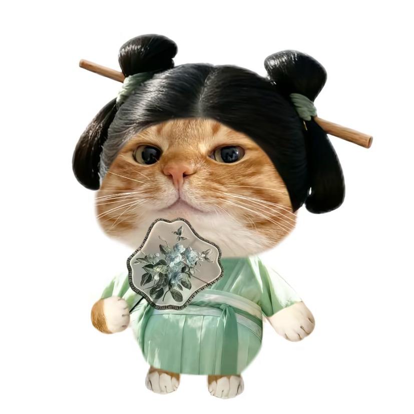 ioOAO
