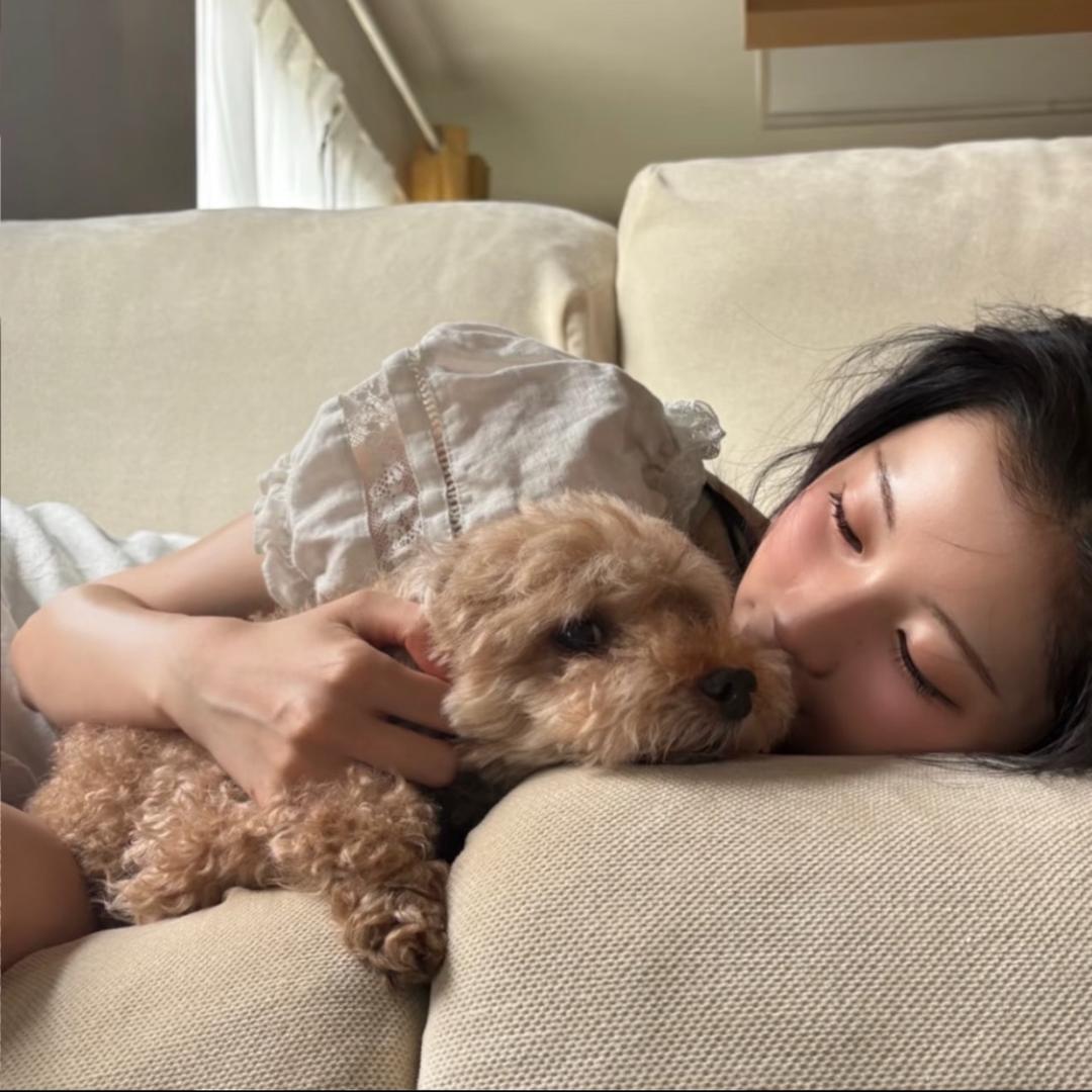 美羊羊^