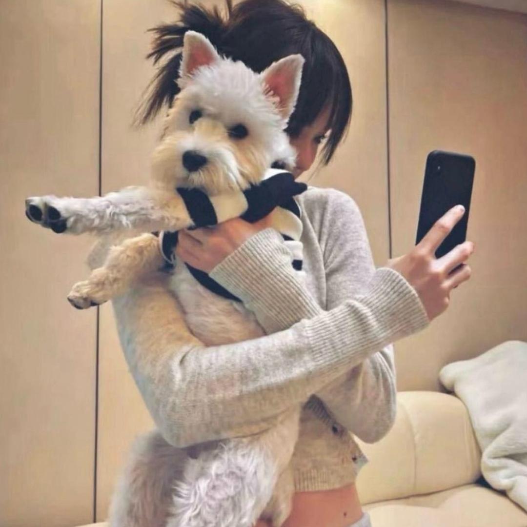 旧诗.