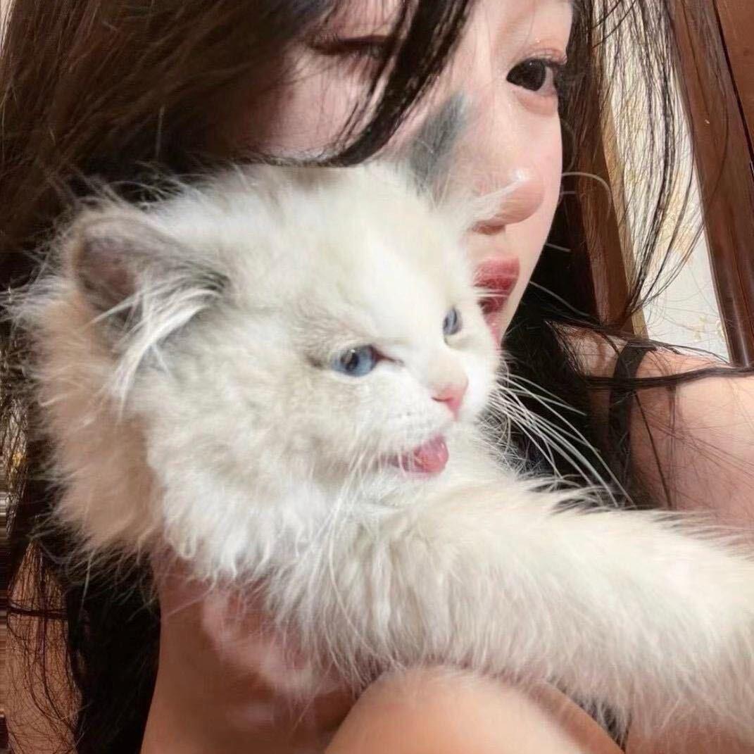 快乐幸运多福多财小美女