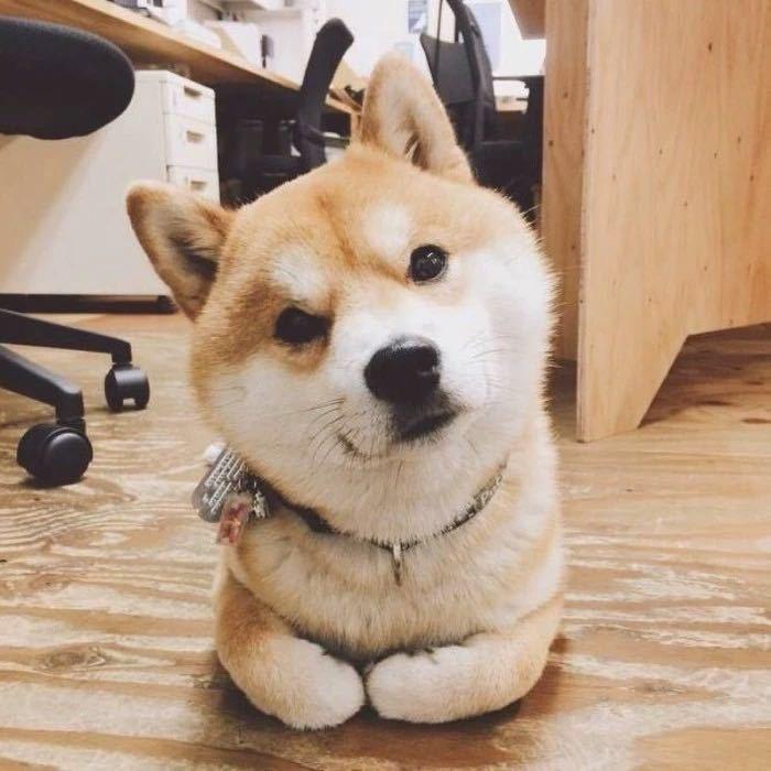 我很搞笑