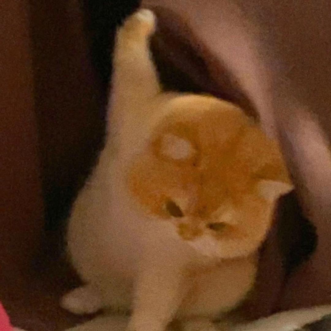 小可沉淀记