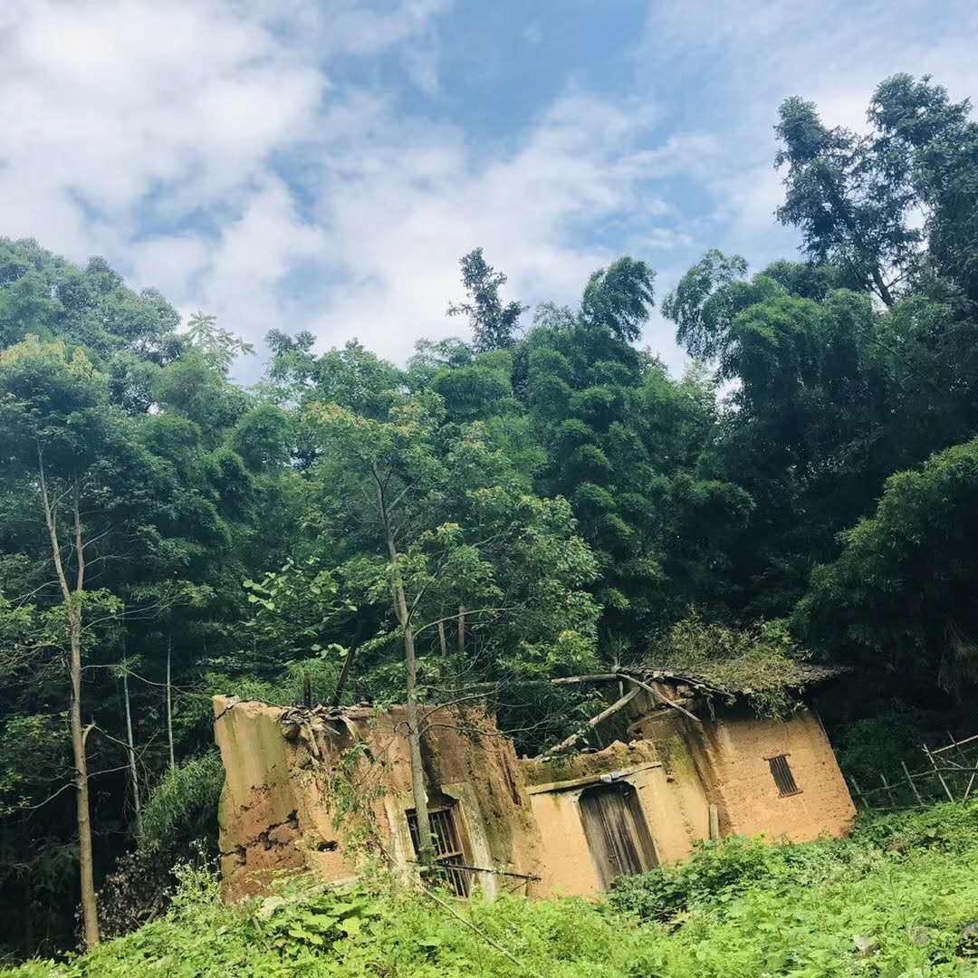 一伴
