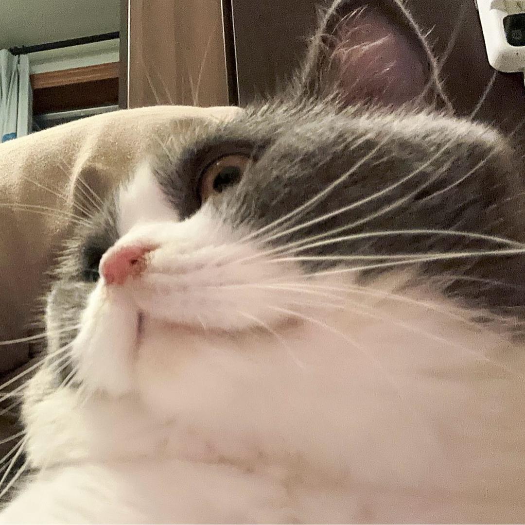 今天你吃了吗！