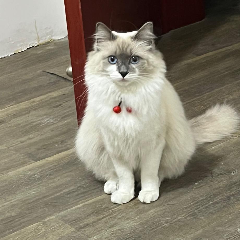 老卖零食的阿姨