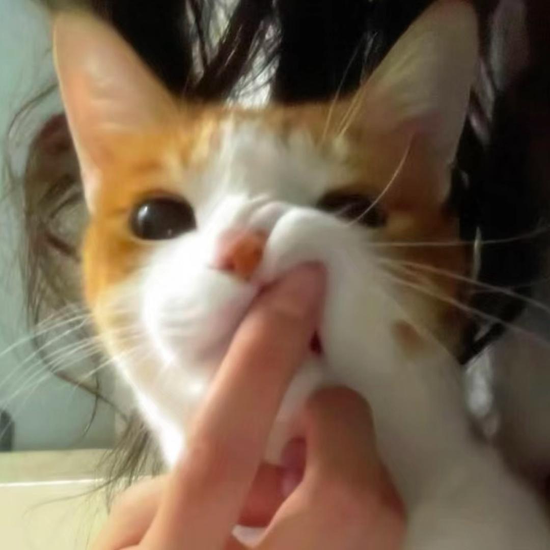 kissme