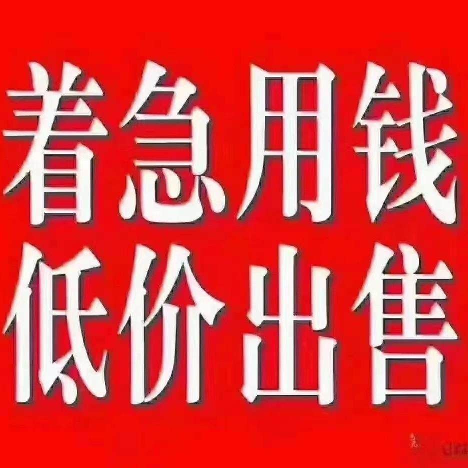 小🐷裴奇🧚‍♀️