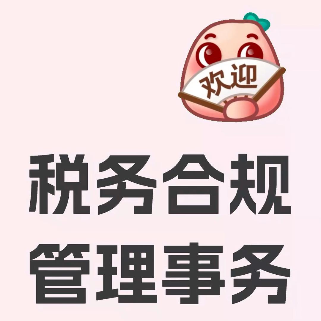 财务 小V（不卖课）